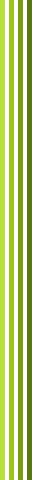 lines