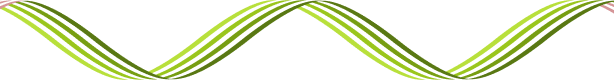 Lines