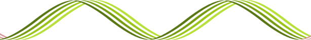 Lines