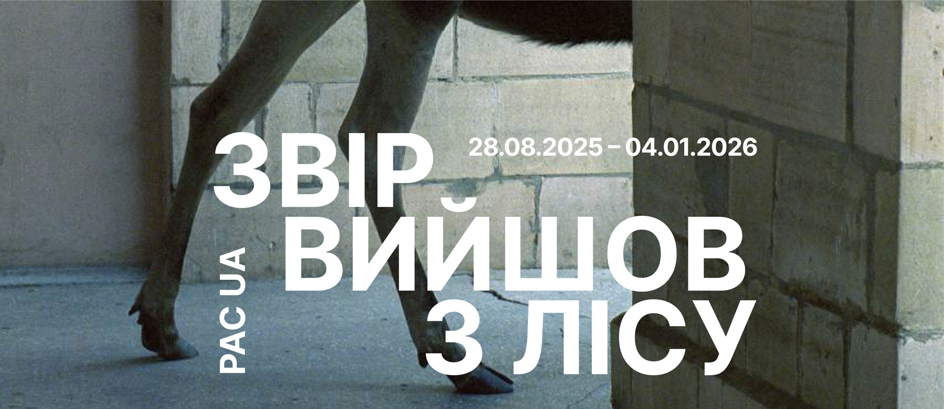 PAC UA<br>
ЗВІР ВИЙШОВ 3 ЛІCУ