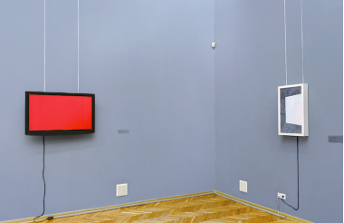 Lada Nakonechna. Switch on Red. 2016. Video, 3'22''